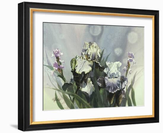 Hadfield Irises III-Clif Hadfield-Framed Art Print