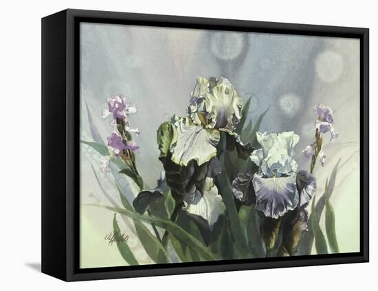 Hadfield Irises III-Clif Hadfield-Framed Stretched Canvas