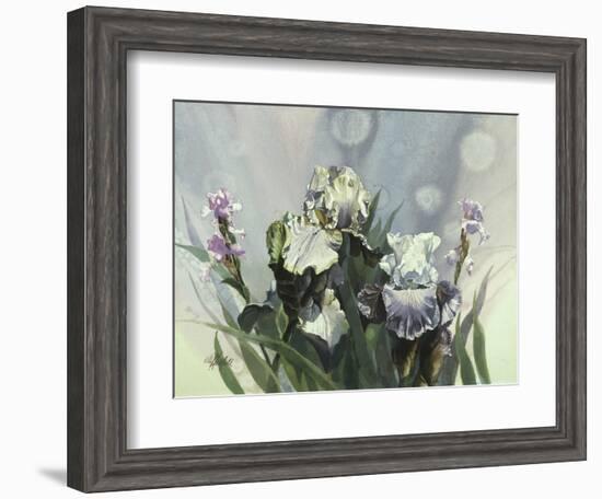 Hadfield Irises III-Clif Hadfield-Framed Art Print