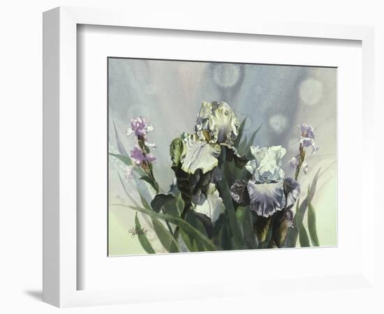 Hadfield Irises III-Clif Hadfield-Framed Art Print