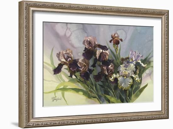 Hadfield Irises IV-Clif Hadfield-Framed Art Print