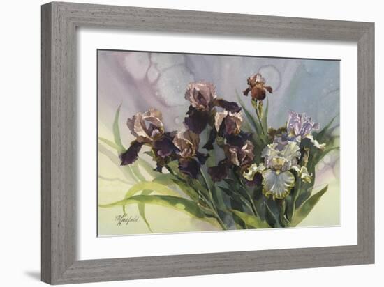 Hadfield Irises IV-Clif Hadfield-Framed Art Print