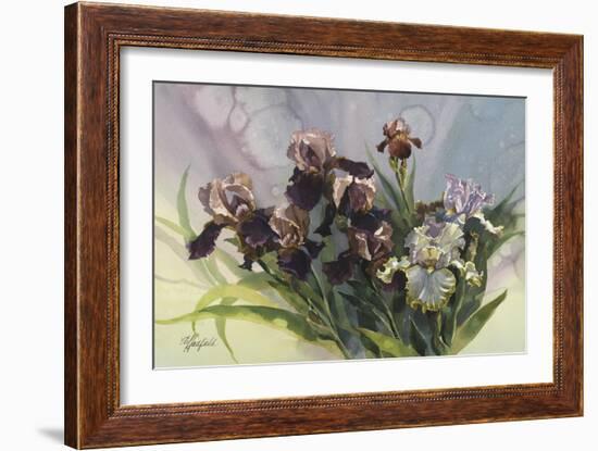 Hadfield Irises IV-Clif Hadfield-Framed Art Print