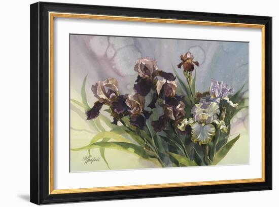 Hadfield Irises IV-Clif Hadfield-Framed Art Print