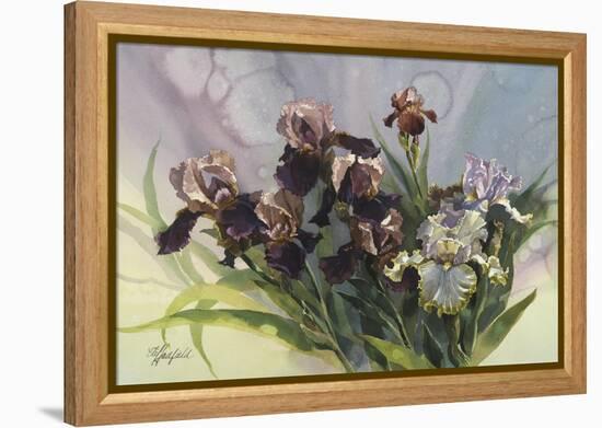 Hadfield Irises IV-Clif Hadfield-Framed Stretched Canvas