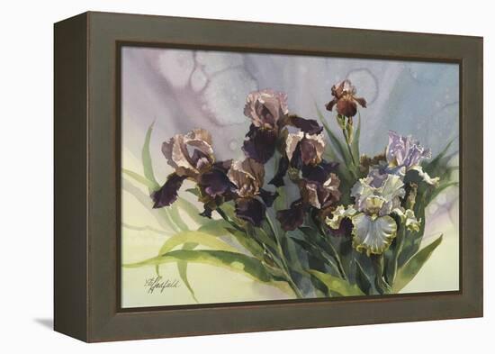 Hadfield Irises IV-Clif Hadfield-Framed Stretched Canvas