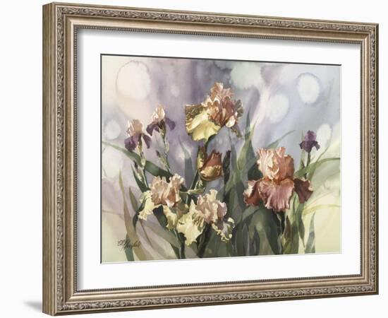 Hadfield Irises V-Clif Hadfield-Framed Art Print