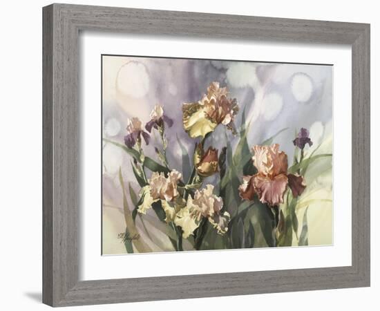 Hadfield Irises V-Clif Hadfield-Framed Art Print