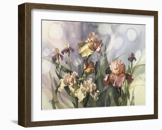 Hadfield Irises V-Clif Hadfield-Framed Art Print