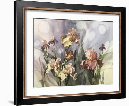Hadfield Irises V-Clif Hadfield-Framed Art Print