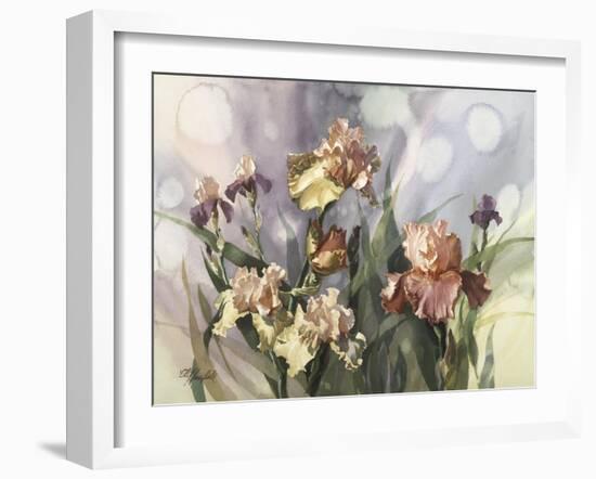 Hadfield Irises V-Clif Hadfield-Framed Art Print