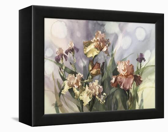 Hadfield Irises V-Clif Hadfield-Framed Stretched Canvas