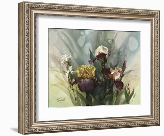 Hadfield Irises VI-Clif Hadfield-Framed Art Print