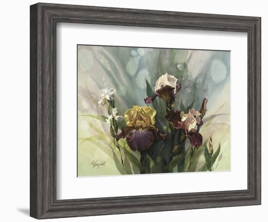 Hadfield Irises VI-Clif Hadfield-Framed Art Print