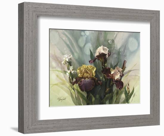 Hadfield Irises VI-Clif Hadfield-Framed Art Print