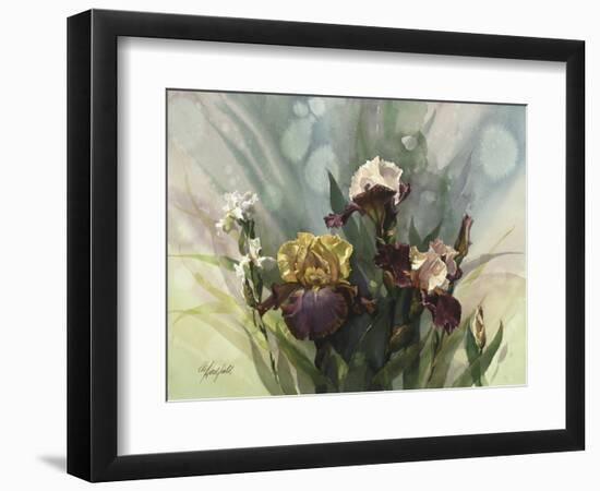 Hadfield Irises VI-Clif Hadfield-Framed Art Print