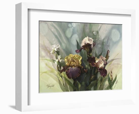 Hadfield Irises VI-Clif Hadfield-Framed Art Print