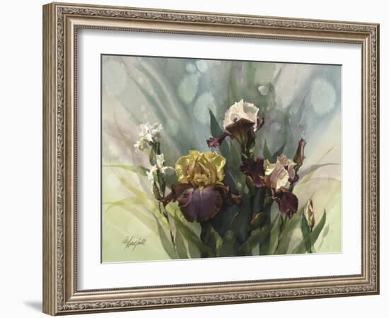 Hadfield Irises VI-Clif Hadfield-Framed Art Print