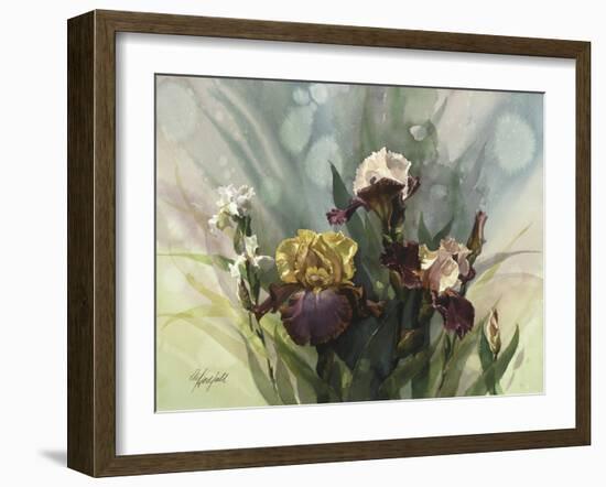 Hadfield Irises VI-Clif Hadfield-Framed Art Print