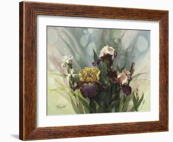 Hadfield Irises VI-Clif Hadfield-Framed Art Print