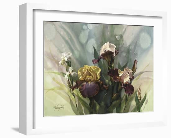 Hadfield Irises VI-Clif Hadfield-Framed Art Print