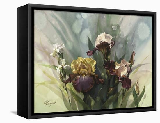 Hadfield Irises VI-Clif Hadfield-Framed Stretched Canvas