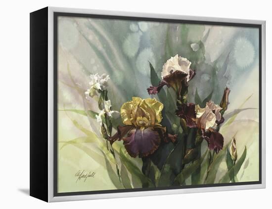 Hadfield Irises VI-Clif Hadfield-Framed Stretched Canvas