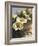 Hadfield Roses I-Clif Hadfield-Framed Art Print