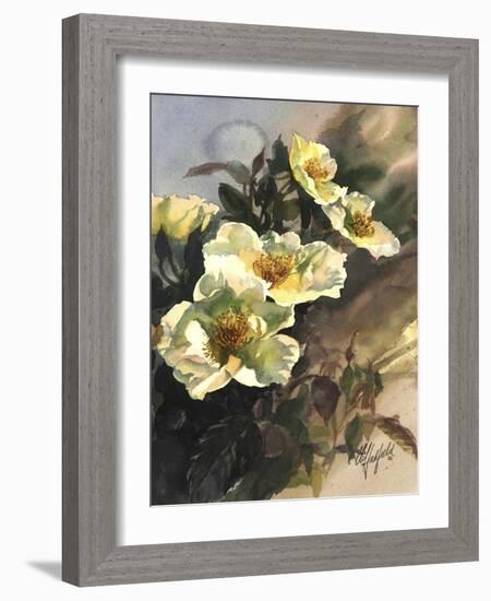 Hadfield Roses I-Clif Hadfield-Framed Art Print