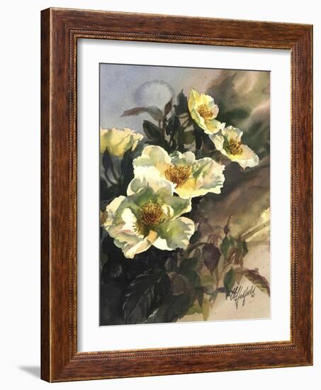 Hadfield Roses I-Clif Hadfield-Framed Art Print