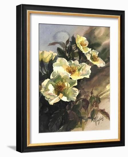 Hadfield Roses I-Clif Hadfield-Framed Art Print