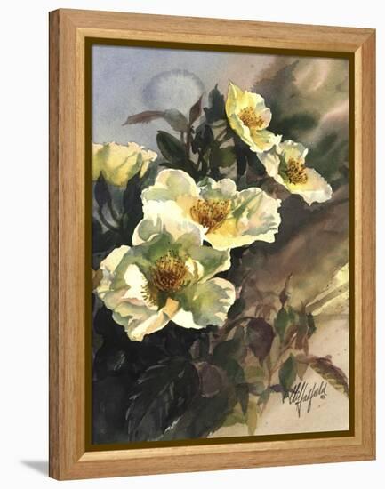 Hadfield Roses I-Clif Hadfield-Framed Stretched Canvas