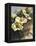 Hadfield Roses I-Clif Hadfield-Framed Stretched Canvas