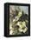 Hadfield Roses II-Clif Hadfield-Framed Stretched Canvas