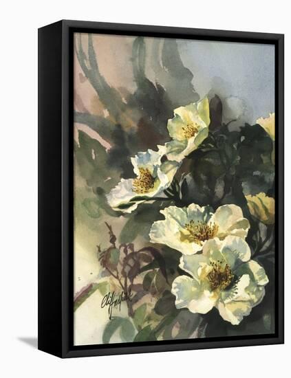 Hadfield Roses II-Clif Hadfield-Framed Stretched Canvas