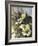 Hadfield Roses II-Clif Hadfield-Framed Art Print