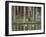 Hadrian's Villa, UNESCO World Heritage Site, Tivoli, Lazio, Italy, Europe-Woolfitt Adam-Framed Photographic Print