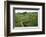 Hadrian's Wall, Looking East to Cuddy's Crag, Northumberland, c20th century-CM Dixon-Framed Photographic Print