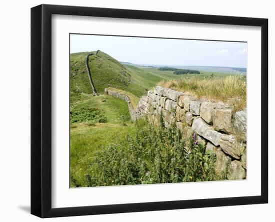 Hadrian's Wall, Near Housesteads, Unesco World Heritage Site, Northumberland, England-Ethel Davies-Framed Photographic Print