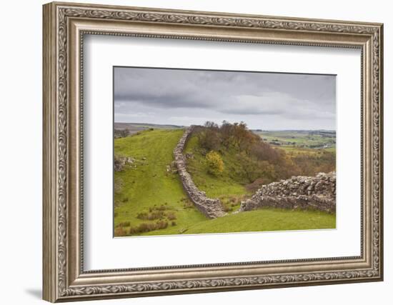 Hadrian's Wall, UNESCO World Heritage Site, Northumberland, England, United Kingdom, Europe-Julian Elliott-Framed Photographic Print