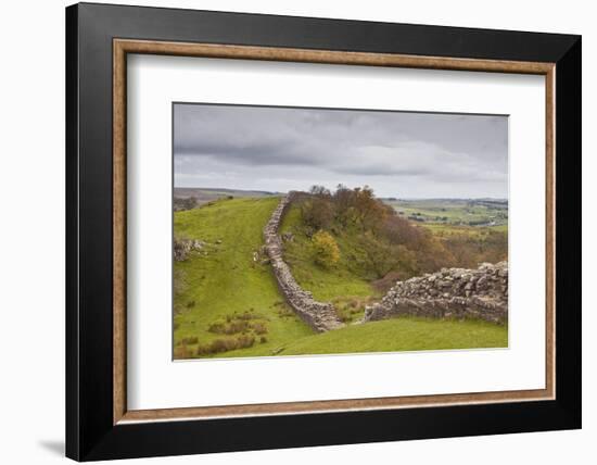 Hadrian's Wall, UNESCO World Heritage Site, Northumberland, England, United Kingdom, Europe-Julian Elliott-Framed Photographic Print