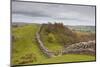 Hadrian's Wall, UNESCO World Heritage Site, Northumberland, England, United Kingdom, Europe-Julian Elliott-Mounted Photographic Print