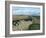 Hadrian's Wall, Unesco World Heritage Site, Northumbria, England, U.K.-Adam Woolfitt-Framed Photographic Print