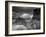 Hadrians Wall, Northumberland, UK-Alan Copson-Framed Photographic Print