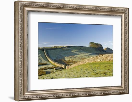 Hadrians Wall with Civilian Gate, a Unique Feature, and Housesteads Fort, Northumbria, England-James Emmerson-Framed Photographic Print