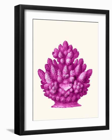 Haeckel Hexacoralla Coral Pink-Fab Funky-Framed Art Print