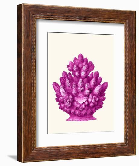 Haeckel Hexacoralla Coral Pink-Fab Funky-Framed Art Print