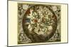 Haemisphaerium Stellatum Australe Aequali-Andreas Cellarius-Mounted Art Print