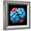 Haemoglobin Molecule, Artwork-Visual Science-Framed Premium Photographic Print