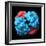 Haemoglobin Molecule, Artwork-Visual Science-Framed Premium Photographic Print